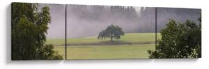 Obraz louky se stromem (170x50 cm)