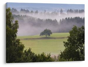Obraz louky se stromem (70x50 cm)