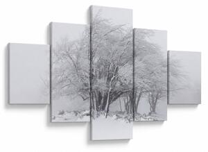 Obraz - Bílá zima (125x70 cm)