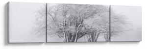 Obraz - Bílá zima (170x50 cm)