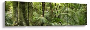Obraz Tropický deštný prales (170x50 cm)