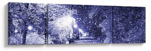 Obraz - Kouzelná zimní noc (170x50 cm)