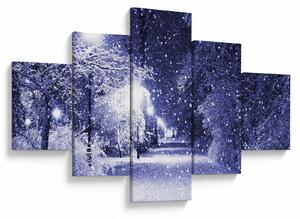Obraz - Kouzelná zimní noc (125x70 cm)