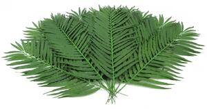 Umělý palmový list Kokos - 12kusů, 110cm