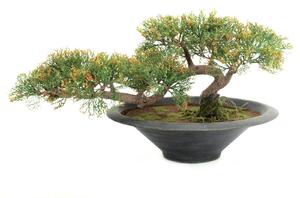 Umělý bonsai Cedr v květináči, 40cm