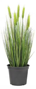 Umělá travina Pšenice zelená v květináči, 60 cm
