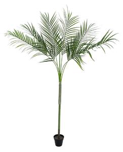 Umělá palma Areca s velkými listy, 180cm