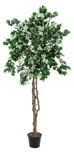 Umělý kvetoucí strom Bougainvillea - přírodní kmen, bílá, 150cm