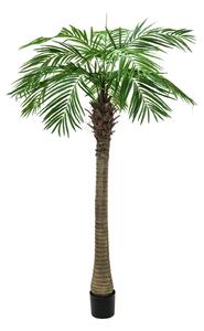 Umělá Phoenix palma, 300cm