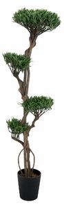 Bonsai s krouceným kmenem, 170cm (Umělý bonsai)