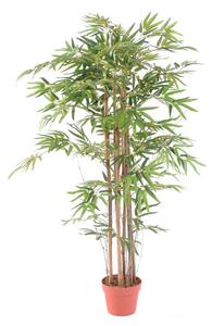 Umělý Bambus strom - přírodní kmeny, 145cm
