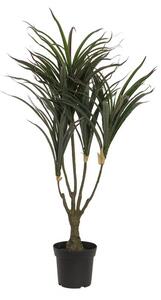 Umělá palma Dracena zeleno-červené listy, 90cm