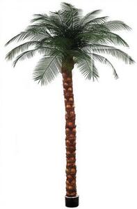 Umělá Phoenix palma, 300-325cm