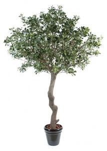 Pittosporum strom, 260cm (umělý strom)