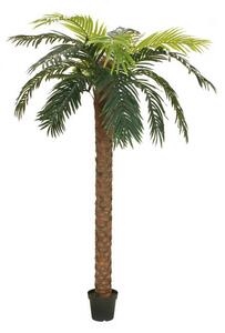 Umělá palma Phoenix deluxe, 250cm