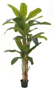 Umělá palma Banánovník - 2 kmeny, 240cm