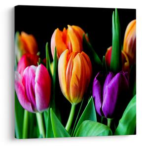 Obraz tulipánů na černém pozadí (30x30 cm)