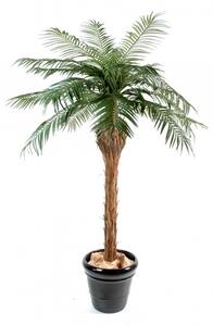 Umělá Phoenix palma přírodní kmen, 150cm