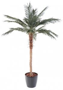 UUmělá Phoenix palma, 210 cm