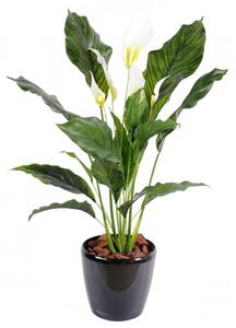 Umělá květina Spathiphyllum - Lopatkovec PVC, 80cm