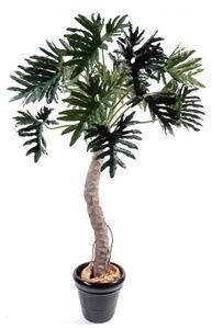 Umělá palma Philodendron palma, 210cm