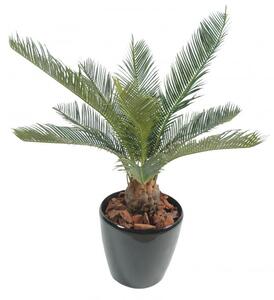 Umělá Palma cycas, 65cm