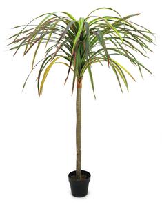 Umělá palma Dracena červeno - zelená, 170cm