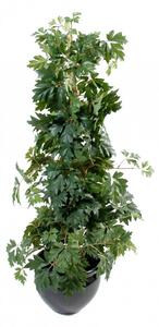 Umělý strom Cissus, 100cm