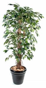 Umělý strom Fíkus přírodní kmen liány, 180cm