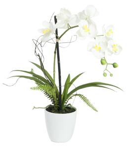 Umělá květina Bílá orchidej s květináčem, 62 cm