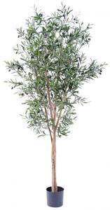 Umělý strom Olivovník přírodní kmeny, 180cm