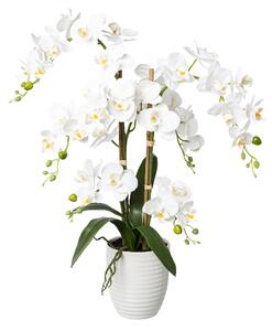 Umělá Orchidej bílá v květináči, 67cm