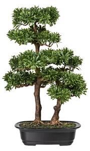 Bonsaj podocarpus, 45cm (umělá bonsai)