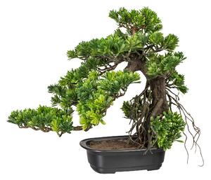 Bonsaj podocarpus, 40cm (umělá bonsai)