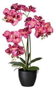 Umělá Orchidej růžová, 65cm