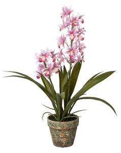 Člunatec orchidej růžová v květináči, 50cm (Umělá květina)