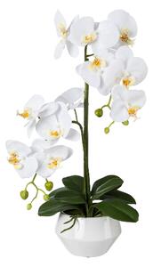Orchidej bílá v květináči, 52cm (Umělá květina)