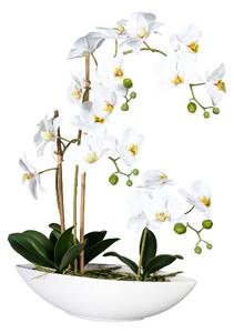 Umělá Orchidej Můrovec bílý v misce, 60cm