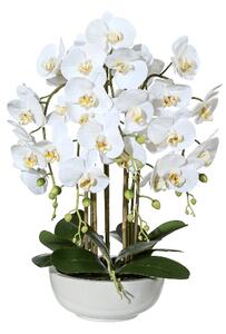 Orchidej Můrovec bílý v misce, 66cm (Umělá květina)