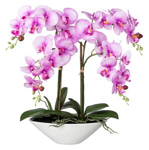 Orchidej růžová v misce, 53cm (Umělá květina)
