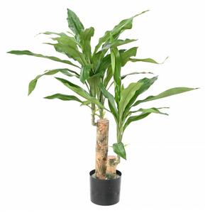 Umělá rostlina Dracena Fragrances Stud, 60cm