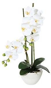 Umělá Orchidej bílá v květináči, 50cm