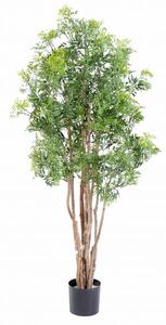 Umělý strom Aralia Ming Nitida, 160cm