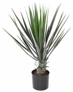 Umělá Yucca Rostrata palma, 60cm