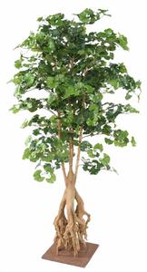 Umělý Jinan dvoulaločný strom s kořenem, 180 cm