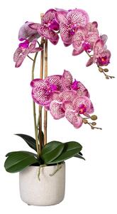 Umělá Orchidej Můrovec růžový, 2 stonky v květináči, 60cm