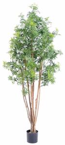 Umělý strom Aralia Ming Nitida, 180cm