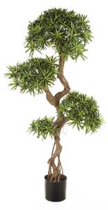 Umělý strom Podocarpus - kroucený kmen, 135cm