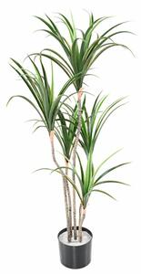 Umělá palma Dracena MARGINATA palma, 125cm