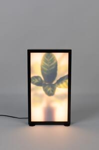 Černá stojací lampa Grow - Zuiver